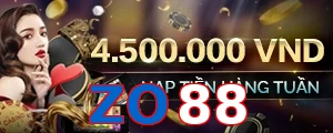 ZO88